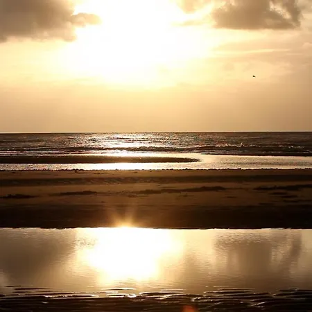 Domaine De La Traxene