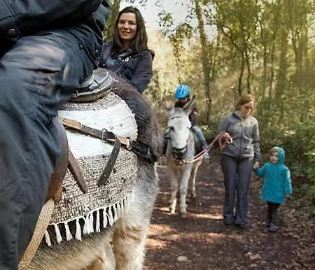 Domaine De La Traxene *