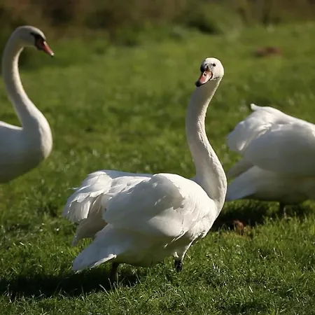 Szálloda Domaine De La Traxene Coupelle-Vieille