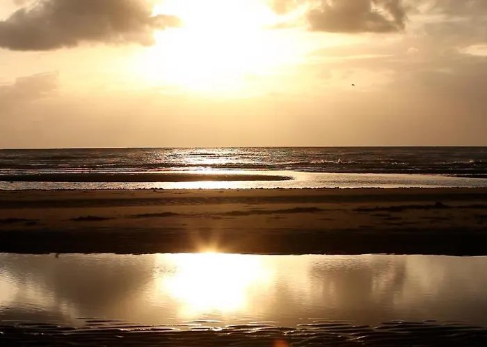 Domaine De La Traxene