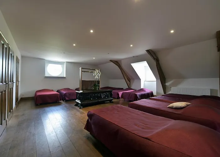 Hotel Domaine De La Traxene Coupelle-Vieille